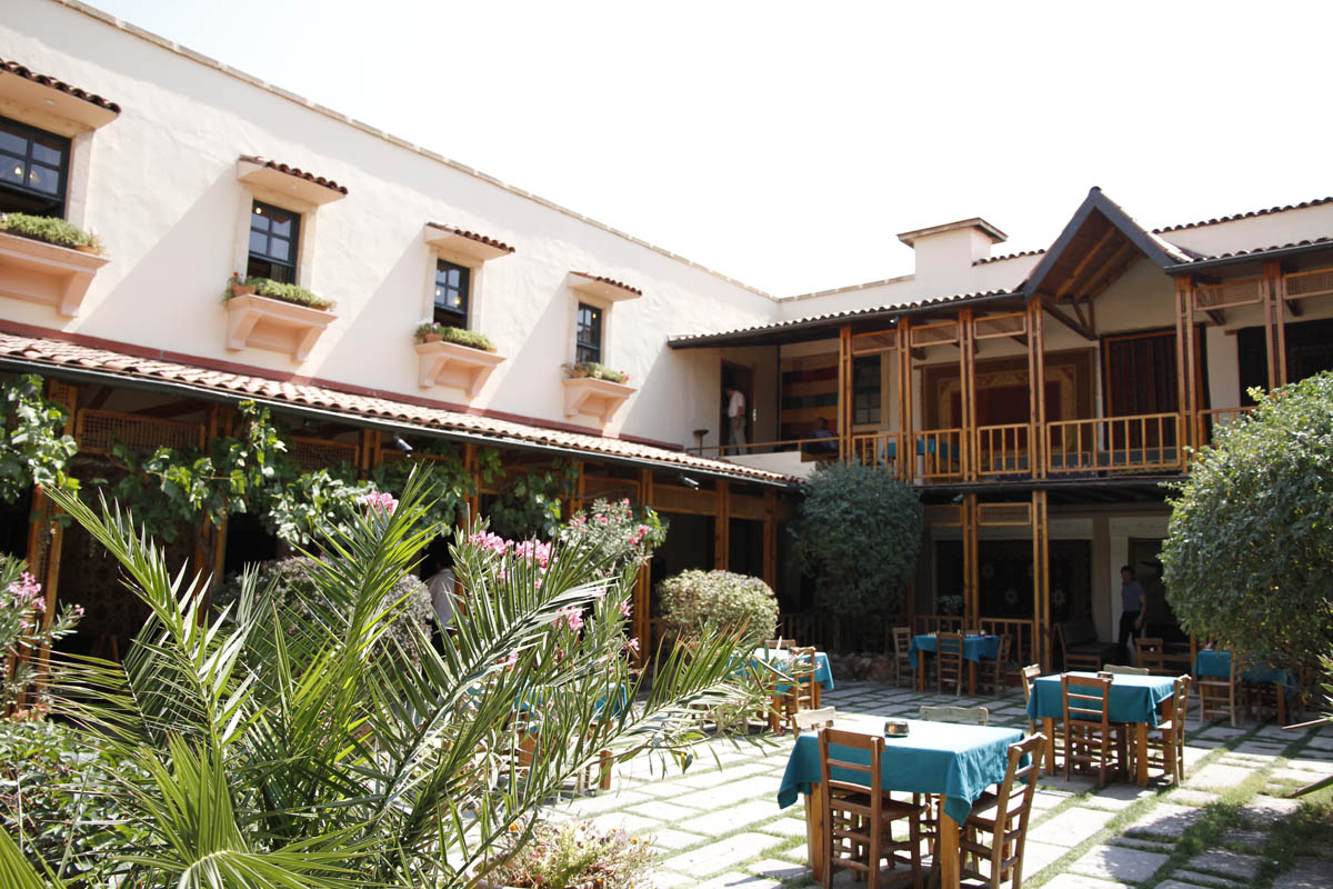 Sentez | Sosyal Etkinlikler